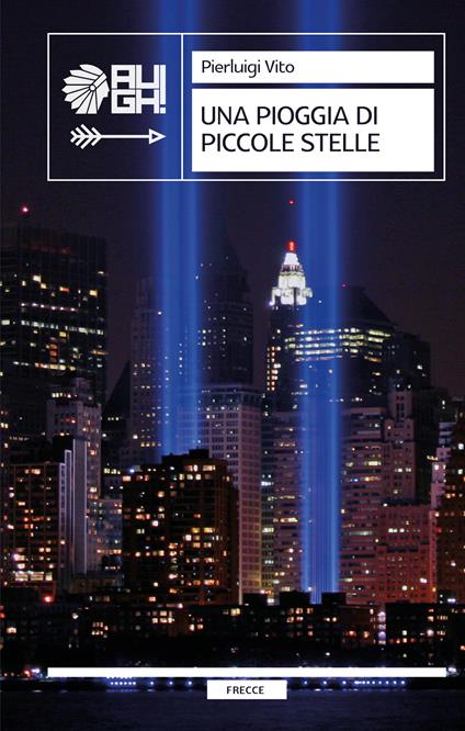 Una pioggia di piccole stelle - Pierluigi Vito - copertina