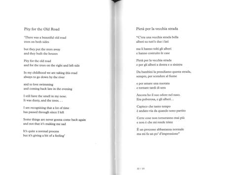 Il cavo della mano. Testo inglese a fronte. Ediz. a colori - Harvey P. J.,Seamus Murphy - 2