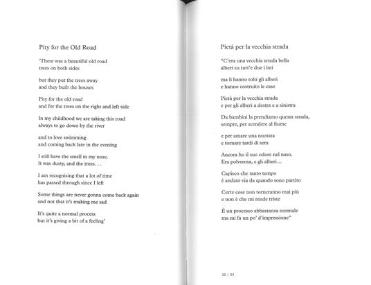 Il cavo della mano. Testo inglese a fronte. Ediz. a colori - Harvey P. J.,Seamus Murphy - 2