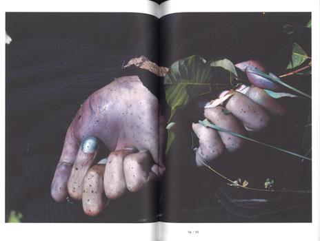 Il cavo della mano. Testo inglese a fronte. Ediz. a colori - Harvey P. J.,Seamus Murphy - 3