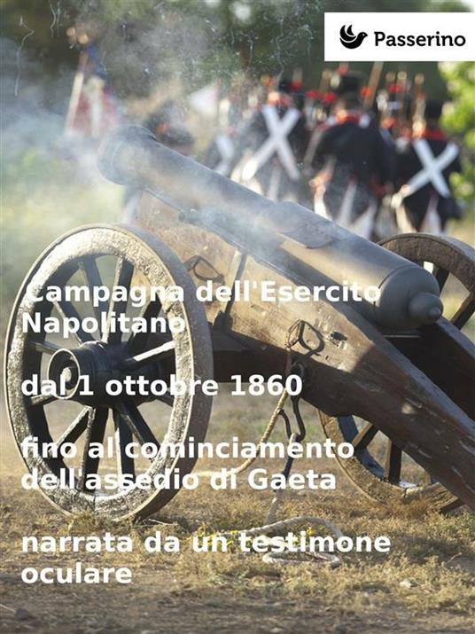 Campagna dell'esercito napolitano dal 1 ottobre 1860 fino al cominciamento dell'assedio di Gaeta narrata da un testimone oculare - Anonimo - ebook