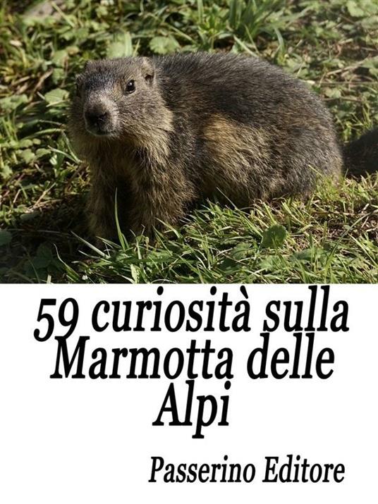 59 curiosità sulla marmotta delle Alpi - Passerino Editore - ebook