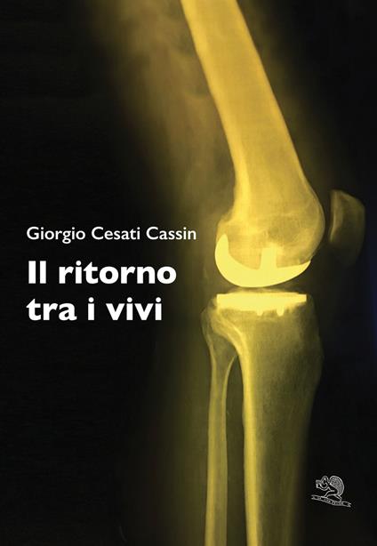 Il ritorno tra i vivi - Giorgio Cesati Cassin - copertina