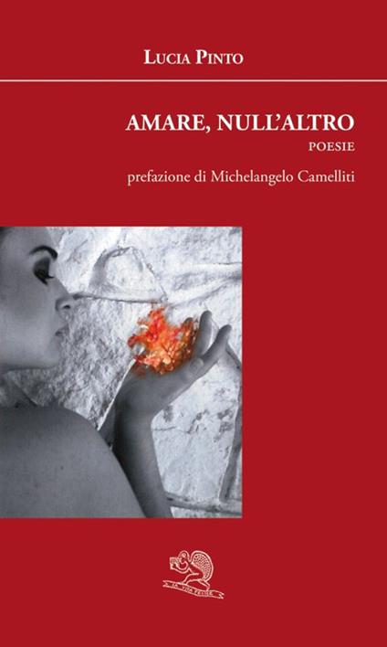 Amare, null'altro - Lucia Pinto - copertina