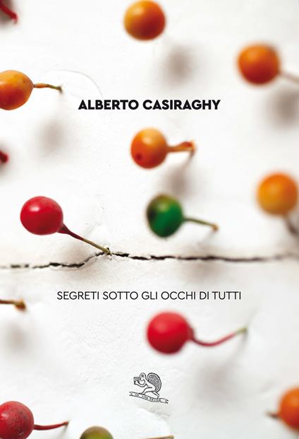 Segreti sotto gli occhi di tutti - Alberto Casiraghy - copertina