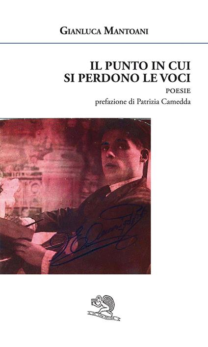 Il punto in cui si perdono le voci - Gianluca Mantoani - copertina