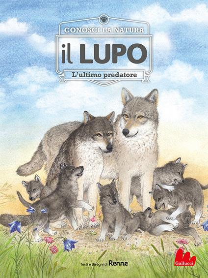 Il lupo. L'ultimo predatore. Conosci la natura - Renne,Claudia Cozzi - ebook