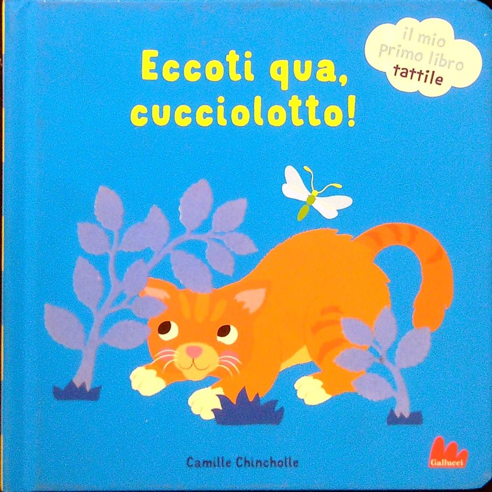 Libro di Faccia