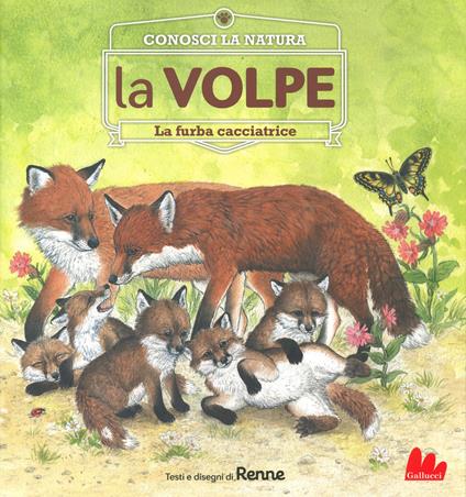 La volpe. La furba cacciatrice. Conosci la natura - Renne - copertina