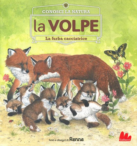 La volpe. La furba cacciatrice. Conosci la natura - Renne - copertina