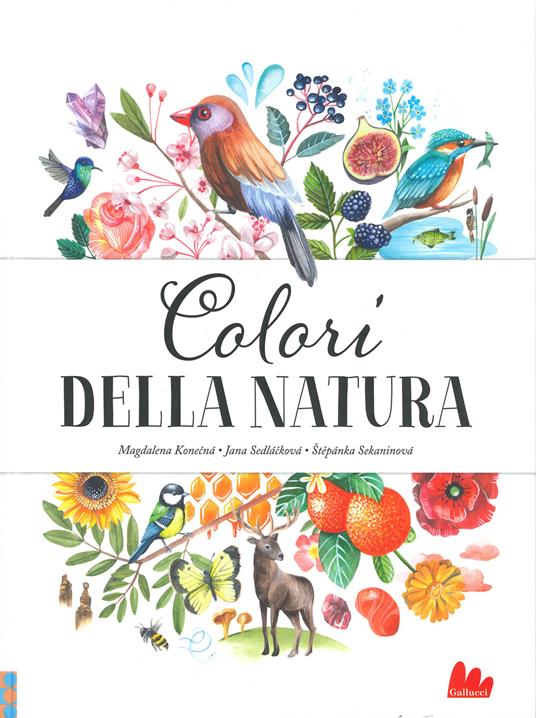 Colori della natura. Ediz. a colori - Jana Sedlácková,Stepánka Sekaninová - copertina