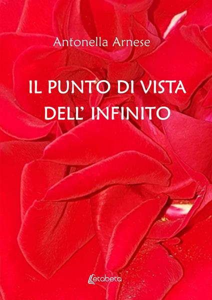 Il punto di vista dell'infinito - Antonella Arnese - copertina