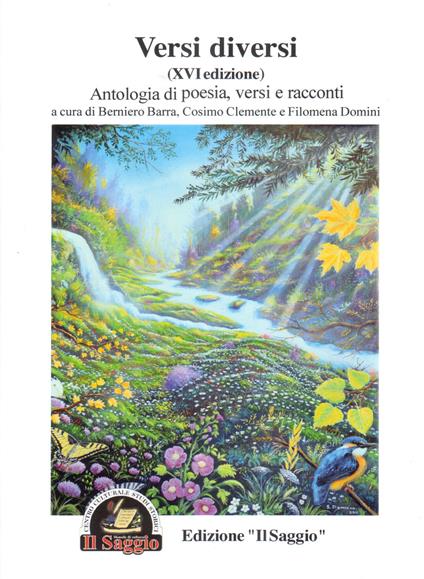 Versi diversi. Antologia di poesia, versi e racconti 16ª edizione - copertina