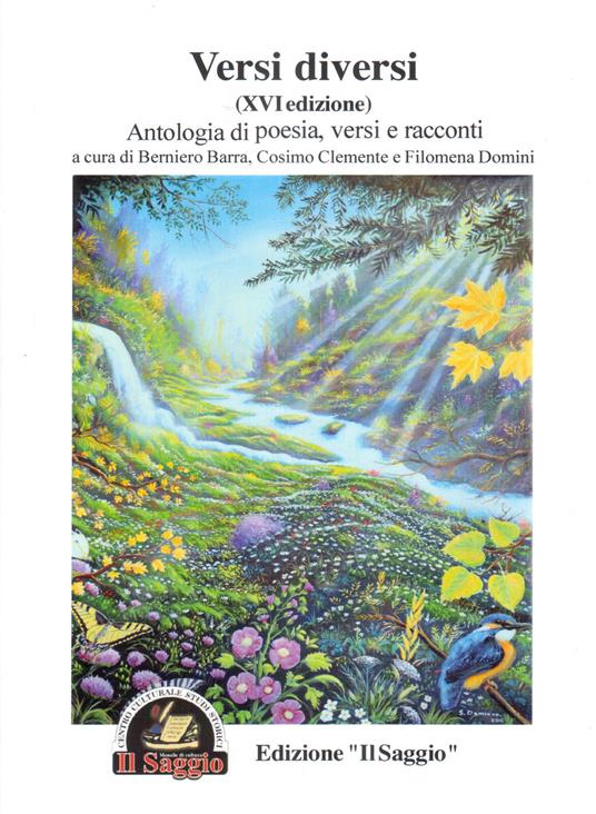 Versi diversi. Antologia di poesia, versi e racconti 16ª edizione - copertina
