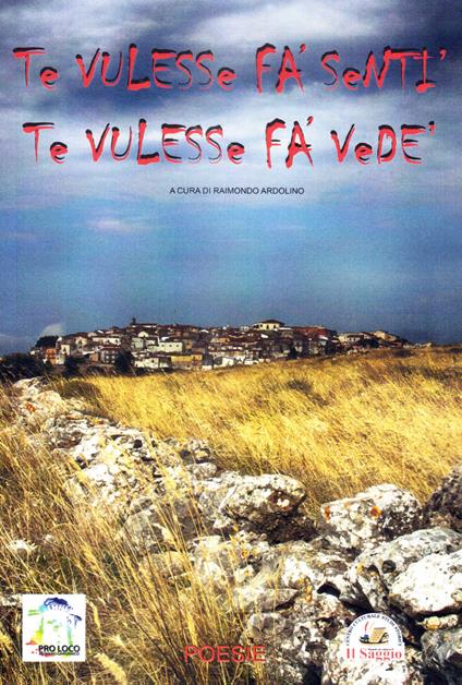 Te vulesse fa' sentì te vulesse fa' vedé - copertina