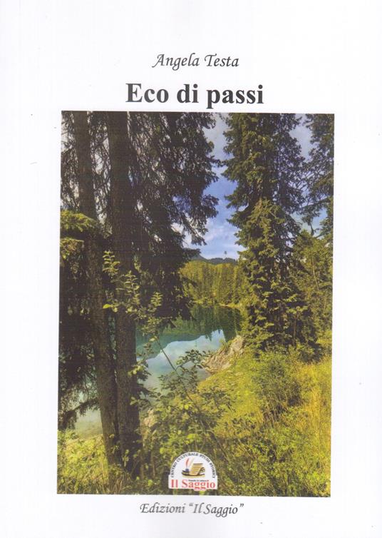 Eco di passi - Angela Testa - copertina