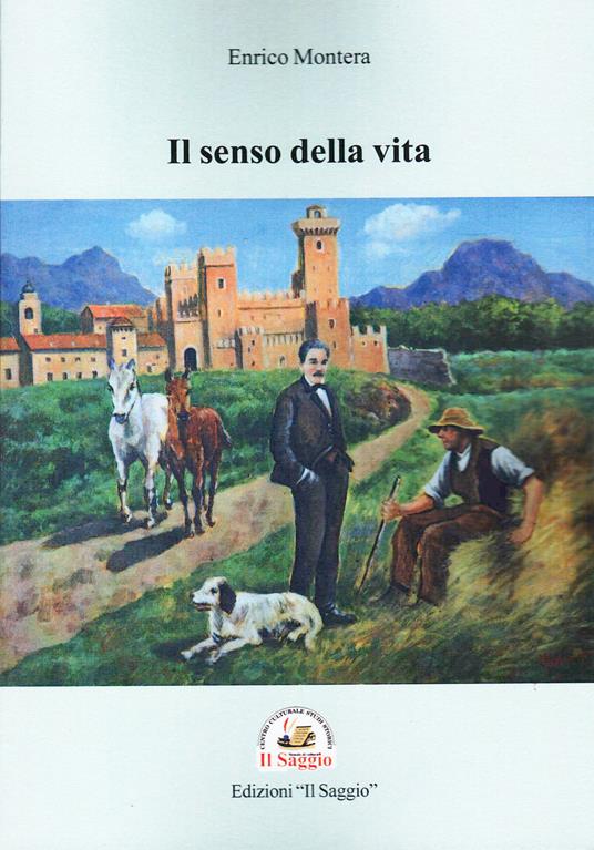Il senso della vita - Enrico Montera - copertina