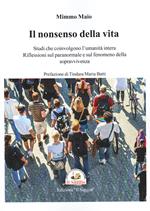 Il nonsenso della vita. Studi che coinvolgono l'umanità intera. Riflessioni sul paranormale e sul fenomeno della sopravvivenza.