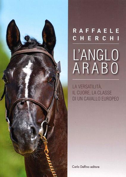 L' Anglo arabo. La versatilità, il cuore, la classe di un cavallo europeo - Raffaele Cherchi - copertina