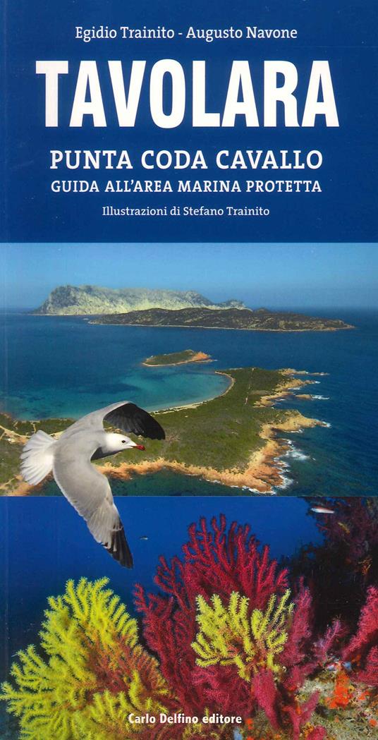 Tavolara. Punta Coda Cavallo. Guida all'area marina protetta - Augusto Navone,Egidio Trainito - copertina