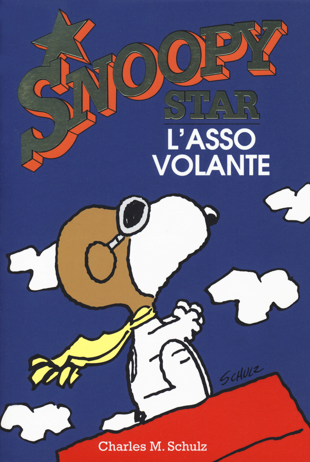 Libraccio