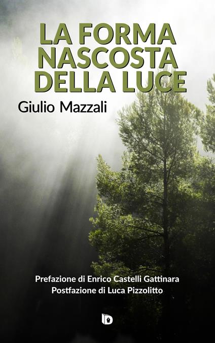 La forma nascosta della luce - Giulio Mazzali - copertina