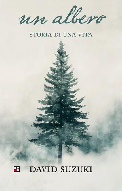 Un albero. Storia di una vita. Ediz. illustrata - David Suzuki - copertina