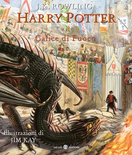 Harry Potter. Il libro dei giochi — Salani