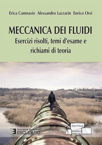 Meccanica dei fluidi. Esercizi risolti, temi d'esame e richiami di teoria - Erica Camnasio,Alessandro Lazzarin,Enrico Orsi - copertina