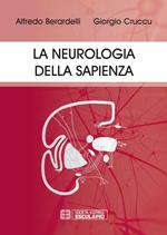 La neurologia della Sapienza