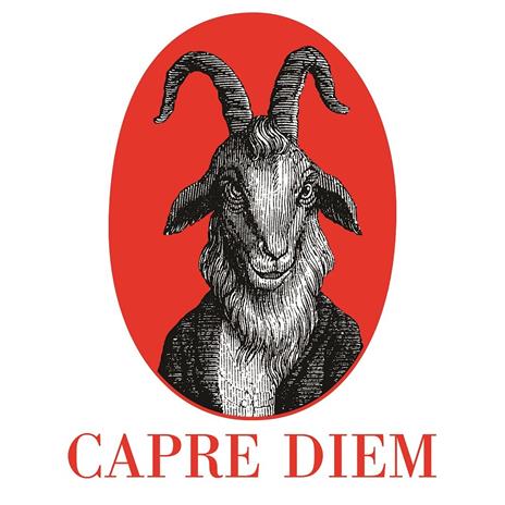 Tazza Vittorio Sgarbi, Studiate Capre! - 2