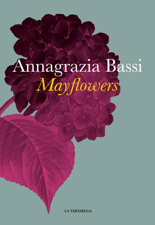 Mayflowers - Annagrazia Bassi - ebook