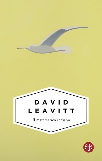 Il matematico indiano - David Leavitt,Delfina Vezzoli - ebook