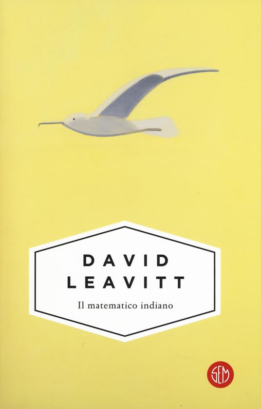 Il matematico indiano - David Leavitt - copertina