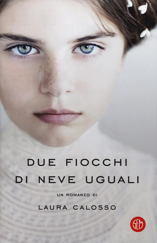 Due fiocchi di neve uguali - Laura Calosso - copertina