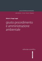 Giusto procedimento e amministrazione ambientale