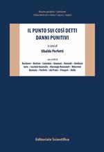 Il punto sui così detti danni punitivi