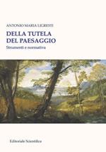 Della tutela del paesaggio. Strumenti e normativa