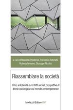 Riassemblare la società. Crisi, solidarietà e conflitti sociali: prospettive di teoria sociologica sul mondo contemporaneo