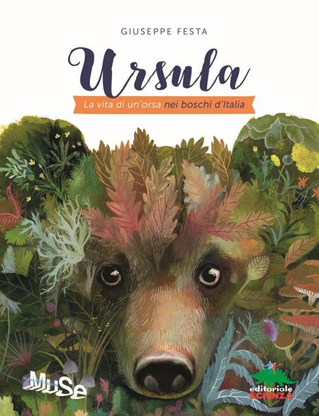 Ursula. La vita di un'orsa nei boschi d'Italia - Giuseppe Festa - copertina
