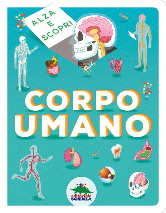 Corpo umano. Alza e scopri - Marnie Willow - copertina