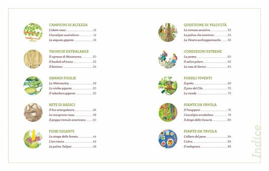 Voci dal mondo verde. Le piante si raccontano - Stefano Bordiglioni - 4