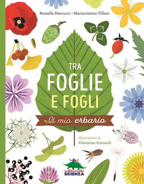 Tra foglie e fogli. Il mio erbario. Ediz. a spirale - Rossella Marcucci,Mariacristina Villani - copertina
