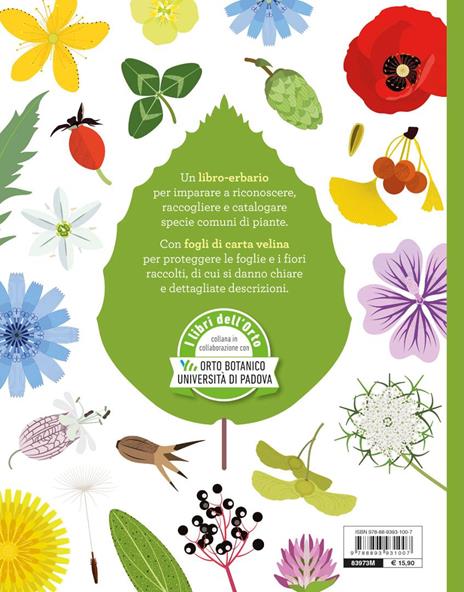 Tra foglie e fogli. Il mio erbario. Ediz. a spirale - Rossella Marcucci,Mariacristina Villani - 8