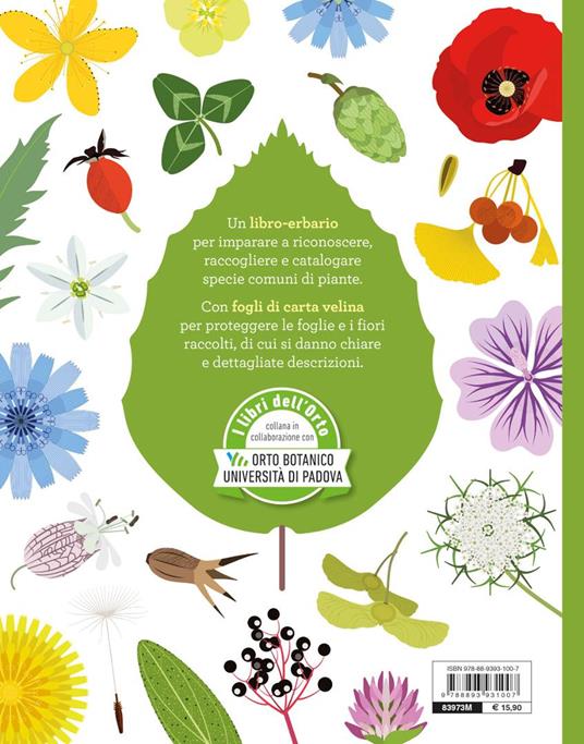 Tra foglie e fogli. Il mio erbario. Ediz. a spirale - Rossella Marcucci,Mariacristina Villani - 8