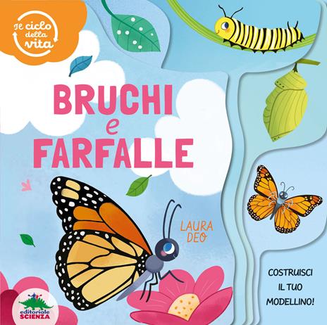 Bruchi e farfalle. Il ciclo della vita. Ediz. a colori - Laura Deo - copertina