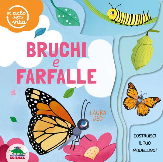 Bruchi e farfalle. Il ciclo della vita. Ediz. a colori - Laura Deo - copertina