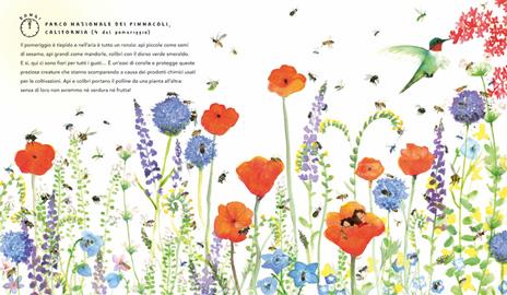 È tutto un solo mondo. 24 ore sul pianeta terra. Ediz. illustrata - Nicola Davies - 3