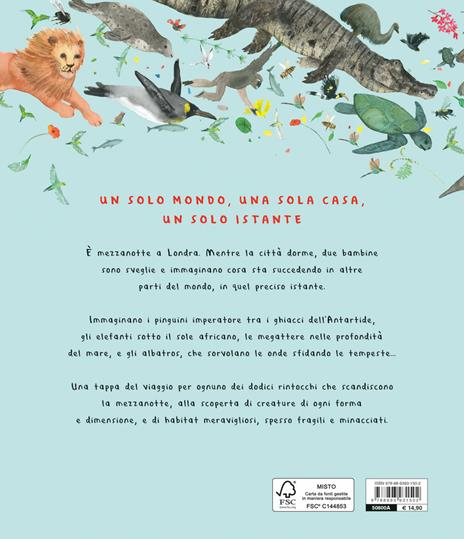 È tutto un solo mondo. 24 ore sul pianeta terra. Ediz. illustrata - Nicola Davies - 6