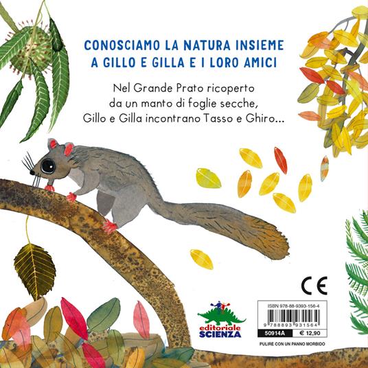 Il gioco del nascondino. Il grande prato di Gillo e Gilla. Ediz. a colori - Roberta Bianchi - 2